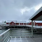 Lofotbua
